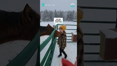 Horse Loves Giving Kisses || ViralHog