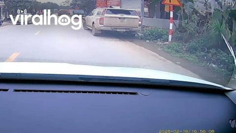 Open Tailgate Smashes Back Window || ViralHog