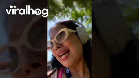 Who Knew Birds Took Cat Naps || ViralHog