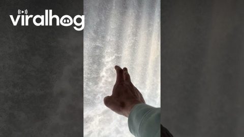 Satisfying Snow Shield || ViralHog