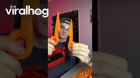 Carrot Scissors? || ViralHog
