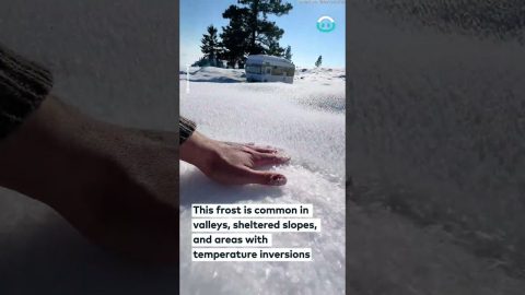 Satisfying Surface Hoar || ViralHog