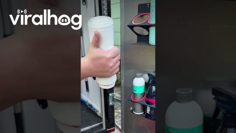 Satisfying Car Detailing || ViralHog