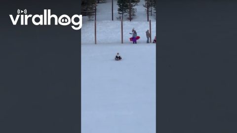 Momma Flies While Sledding || ViralHog