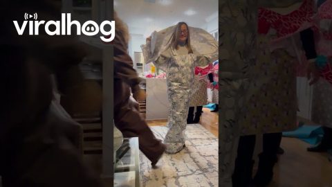 Wrapping Paper Fashion Show || ViralHog