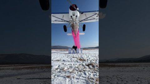 Epic Gender Reveal with Aerial Maneuvers and Fireworks || ViralHog