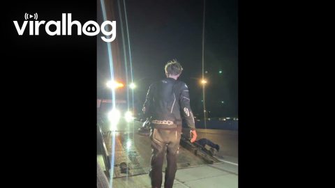 Tow Truck Driver Drops Motorcycle || ViralHog