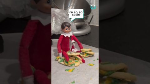 Girl Tells of Elf on the Shelf Thief! || ViralHog