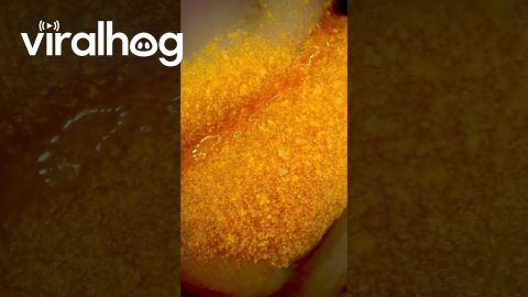 Oil Found On Puff Snack || ViralHog