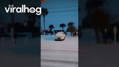 It's Snowing in Florida || ViralHog