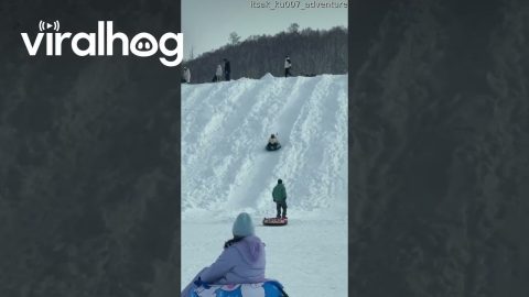 Adventurous Sledders Have Bumpy Ride || ViralHog