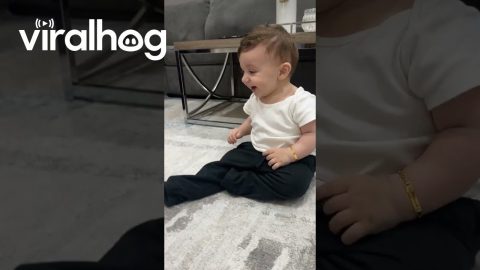 Puppy And Baby Bound To Be Best Friends || ViralHog