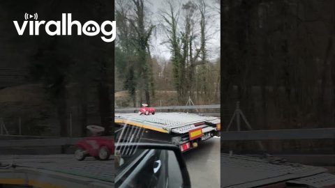 Big Truck Transports Tiny Cargo || ViralHog