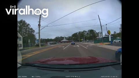 Right Turn Lane Driver Decides To Turn Left Instead || ViralHog