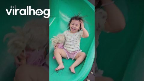 Girl Has Hair-Raising Fun on Slide || ViralHog