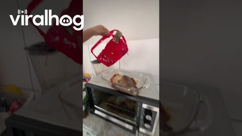 Fish Baking Fail Leaves Lid Melted || ViralHog