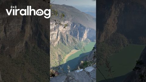 Ants Work To Move Food Closer To Canyon Abyss || ViralHog