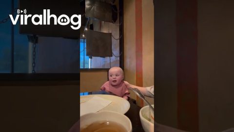 Baby Wowed By Hibachi Cooking || ViralHog