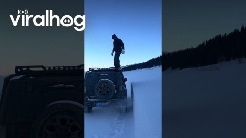 Man Misjudges Depth of Snow || ViralHog
