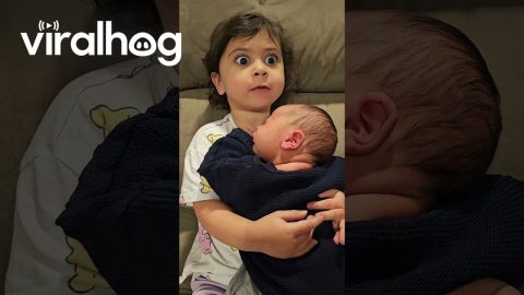 Toddler Protective While Cuddling With Baby Brother || ViralHog