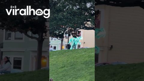 Neon Blue Dinosaur Dances In Park || ViralHog
