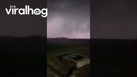 Tornado Blows Through Southern Indiana Nighttime || ViralHog