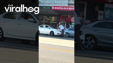 Motorcyclist Argues With Car Driver || ViralHog