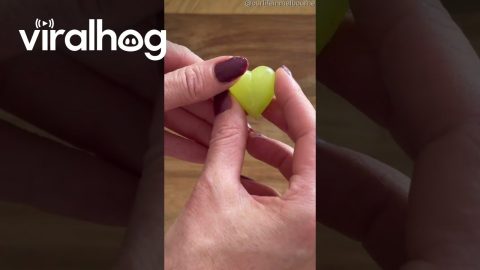How to Turn Grapes Into Little Hearts || ViralHog