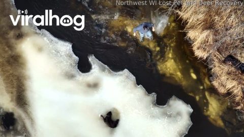 Thermal Imaging Helps Locate Dog Lost on Icy River || ViralHog
