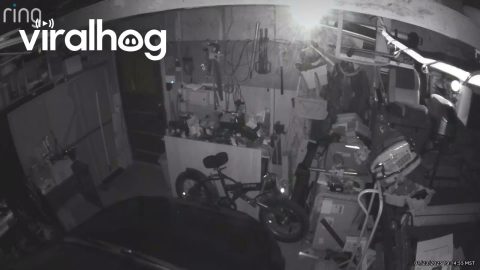Security Camera Captures "Orb of Light" || ViralHog