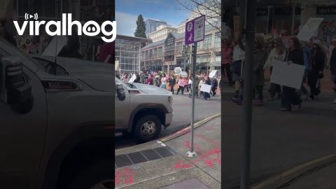 Women's Day March in Portland Oregon || ViralHog