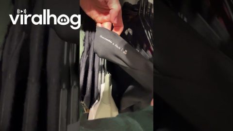 Unfortunate Typo on Sweatshirt || ViralHog