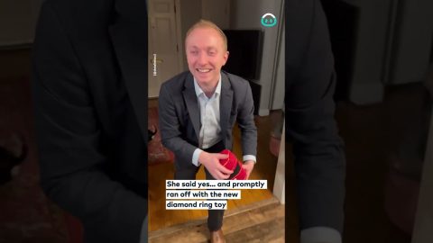 Man Proposes To The Dog Too || ViralHog