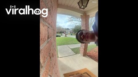 Screaming At Snake Near Doorbell || ViralHog