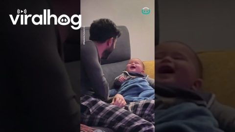 Baby Won't Let Dad Relax || ViralHog
