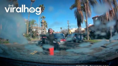 Woman Throws Drink On Car Behind Her || ViralHog