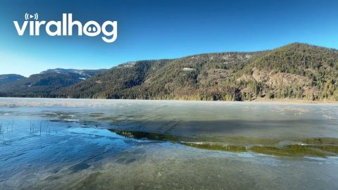 Melting Lake Ice Sounds Like Alien Arcade || ViralHog