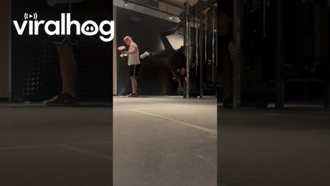 Woman Flipped Upside Down While Doing Cable Exercise || ViralHog