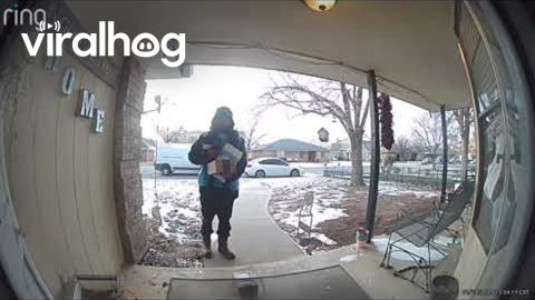 Dog Breaks Window Screen When Delivery Man Arrives || ViralHog