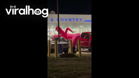 Inflatable Dancer Getting Down || ViralHog