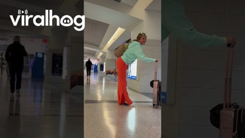 Backing Up Into Airport Art || ViralHog