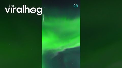 The Northern Lights Filmed From My Driveway || ViralHog