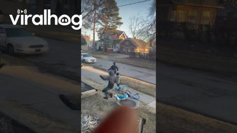 Police Officers Race Neighborhood Children || ViralHog