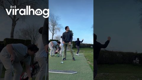 Golf Club Goes Flying || ViralHog