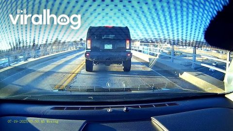 SUV Brakes Hard And Backs Up In Apparent Insurance Scam || ViralHog