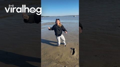 There Was An Attempt || ViralHog