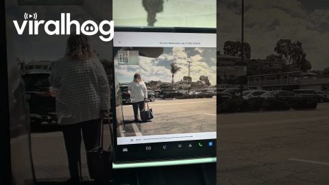 Car And Driver Fail To Detect Aimlessly Standing Woman || ViralHog