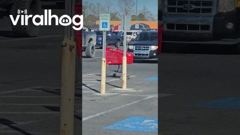 Malicious Shopping Cart Makes Targeted Attack || ViralHog