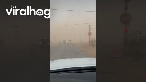 Dirt Storm Stirs Up Ground Debris || ViralHog