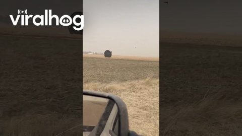 Trampoline Rolls Through Field || ViralHog